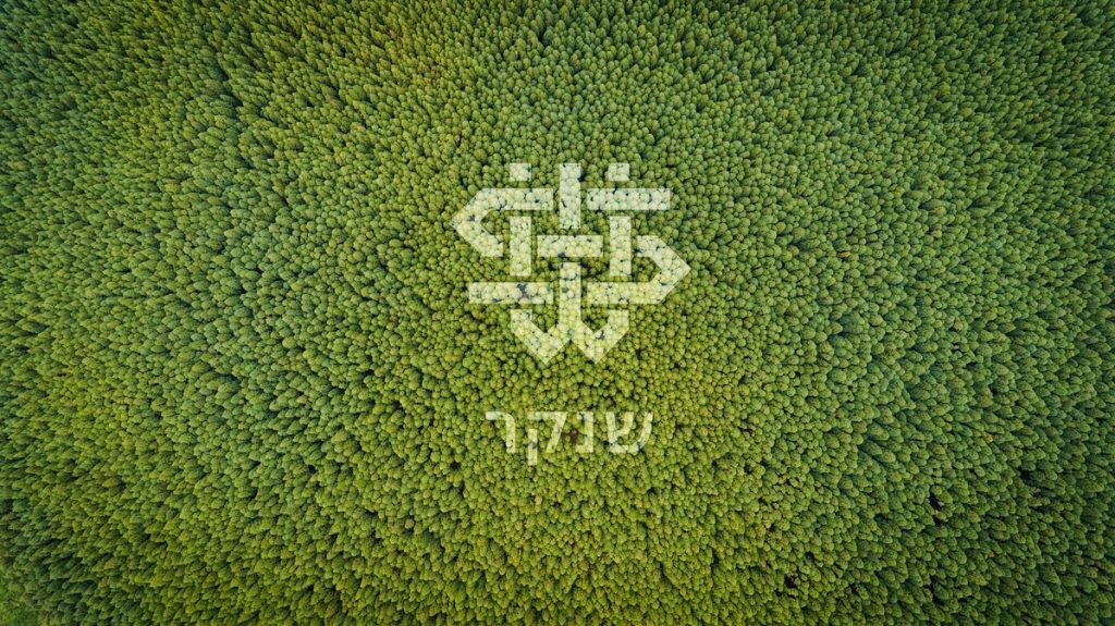  דור העתיד של מעצבי הפנים בישראל מתכנן את העיר הירוקה החדשה