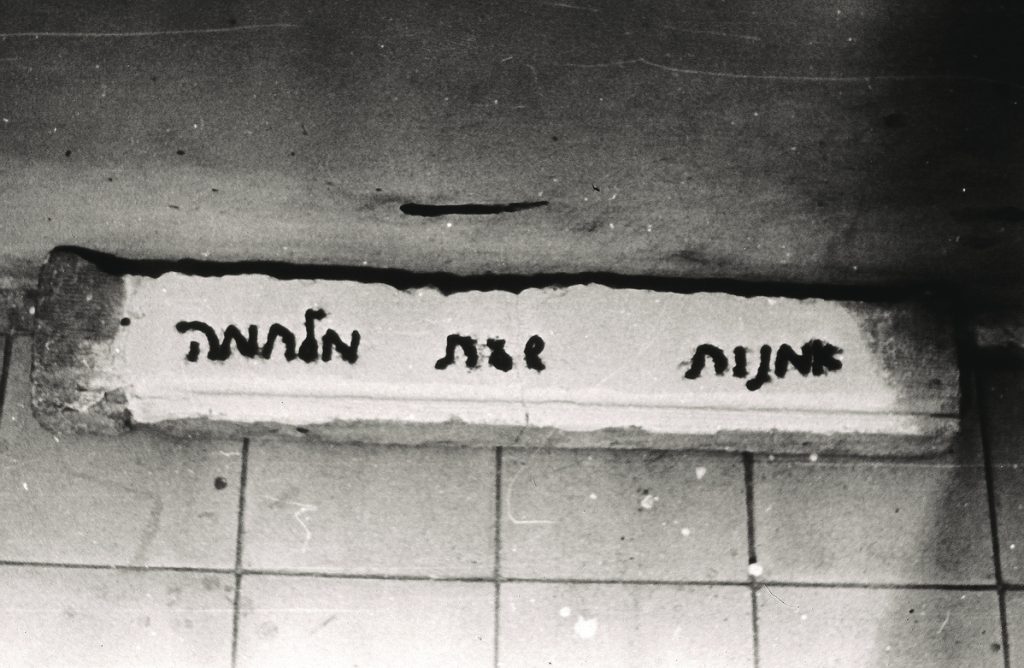 אמנות בשדה המורחב: טלי תמיר