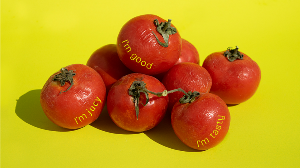 The Power of Awareness: How a Joint Course Between the Department of Visual Communication at Shenkar and The Natural Step is Finding Solutions for Global Food Waste