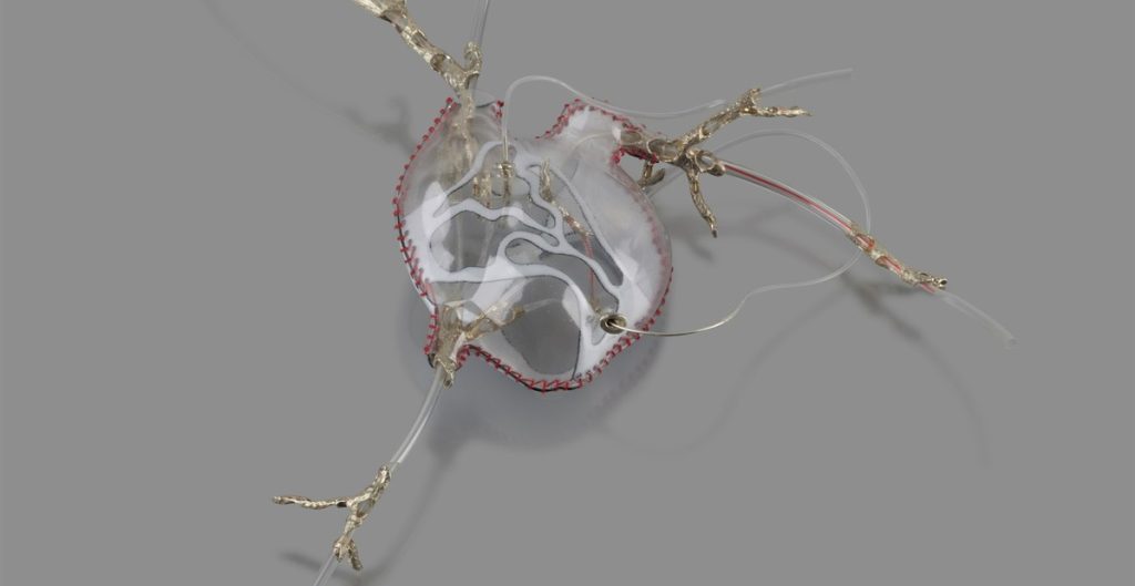 Mor Berger, Fresh Graduate of the Department of Jewelry Design, Named a Finalist in the International New Talent Award 2022 by KLIMT02