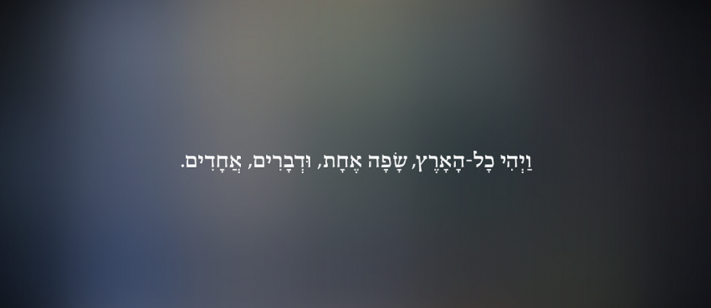 ויהי דימוי: תערוכה חדשה לפרופ ינאי טויסטר
