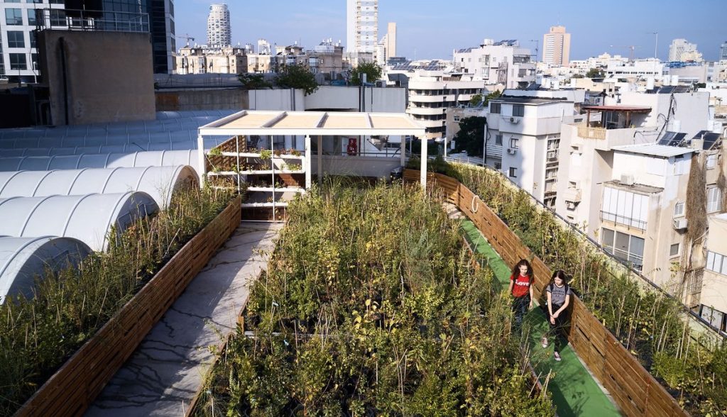 רותם קודיש, בוגרת המחלקה לתקשורת חזותית, מציגה את "סיפורי פיפי", שמבקש להסביר מה נשים עוברות כשהן נאלצות להתפנות במרחב הציבורי