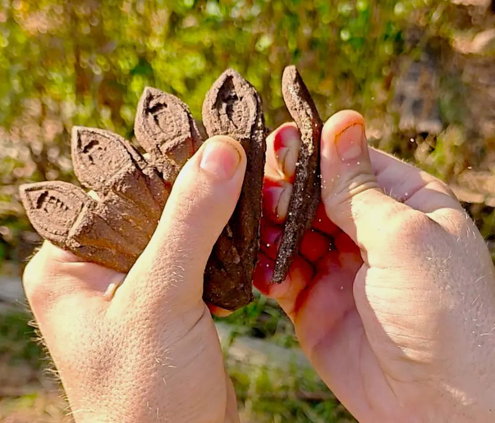 מוצר מתוך פרויקט הגמר של הבוגר תום פוסברי