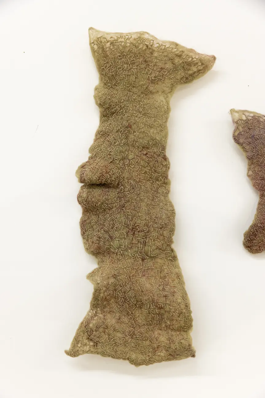 פרט של עבודה מתוך פרוייקט הגמר של ליהי גולדשטיין
