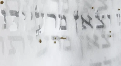 פרט מתוך פרוייקט הגמר של עדן כהן