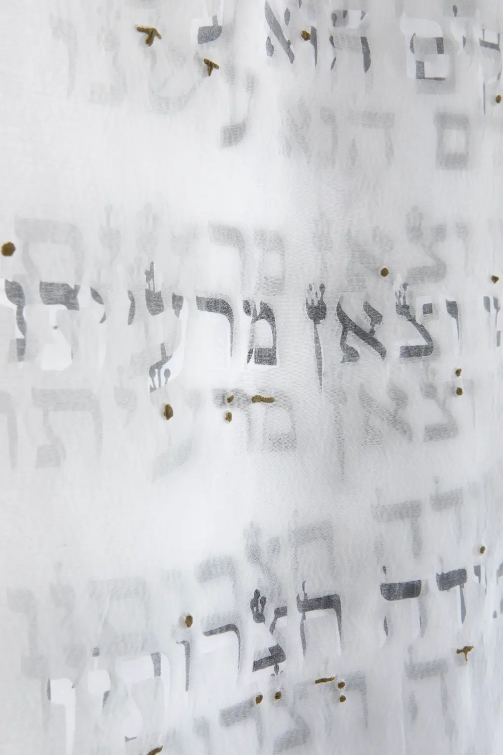 פרט מתוך פרוייקט הגמר של עדן כהן