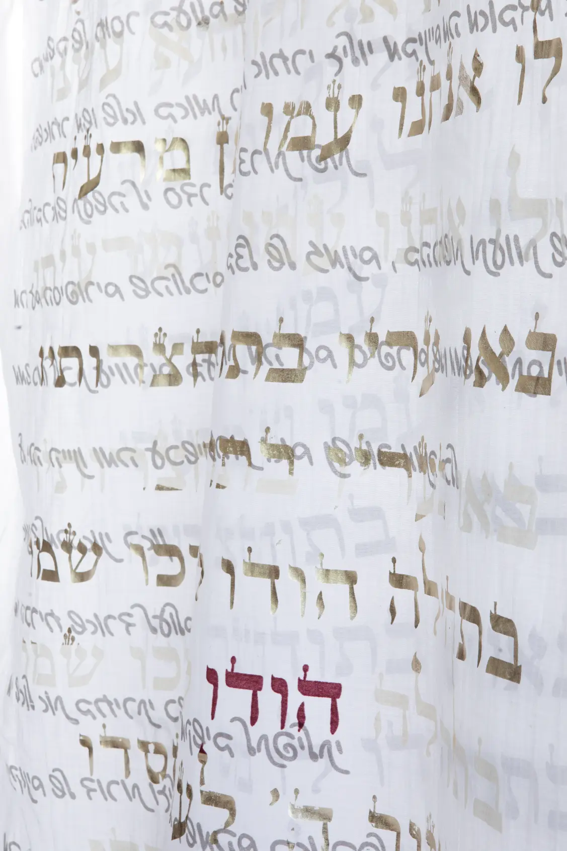 פרוייקט הגמר של עדן כהן