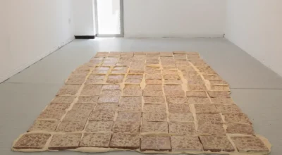 פרוייקט הגמר של עלמה שריג