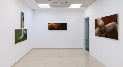 פרוייקט הגמר של קטיה היילינקריג