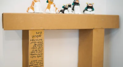 דימוי מתוך פרויקט הגמר של הבוגרת אנה מאס